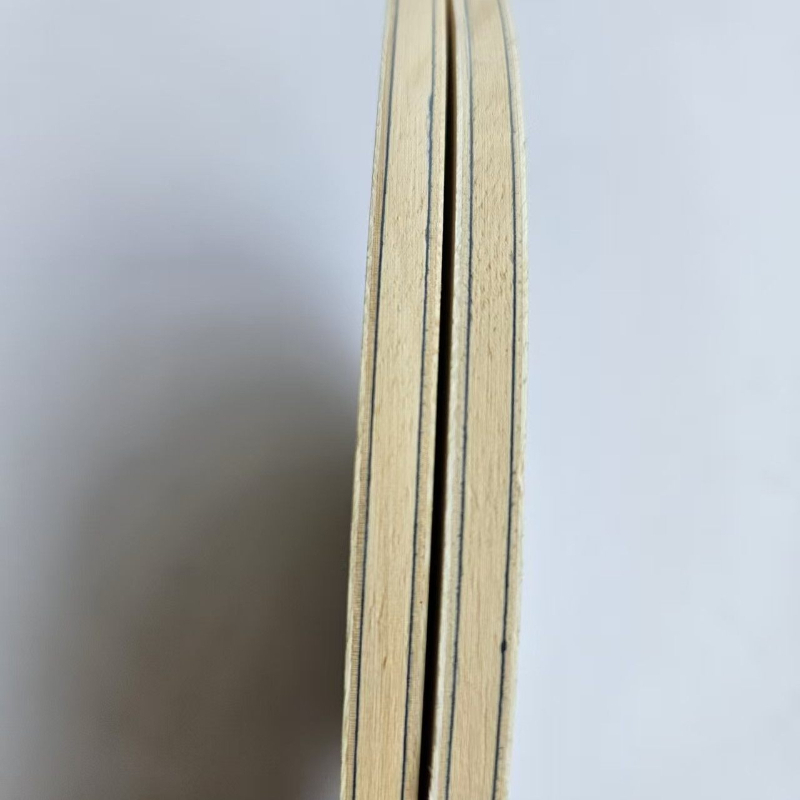 Blade Raket Tenis Meja DIY FL/ - Badminton Background ulasan dan harga